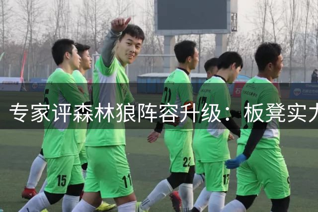 专家评森林狼阵容升级：板凳实力显著提升 薪资空间仍有余地