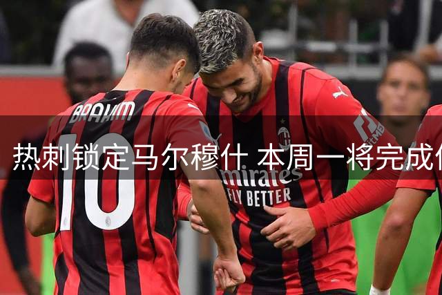 热刺锁定马尔穆什 本周一将完成体检